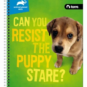 Cuaderno Univ Torre Animal Pets 100hjs